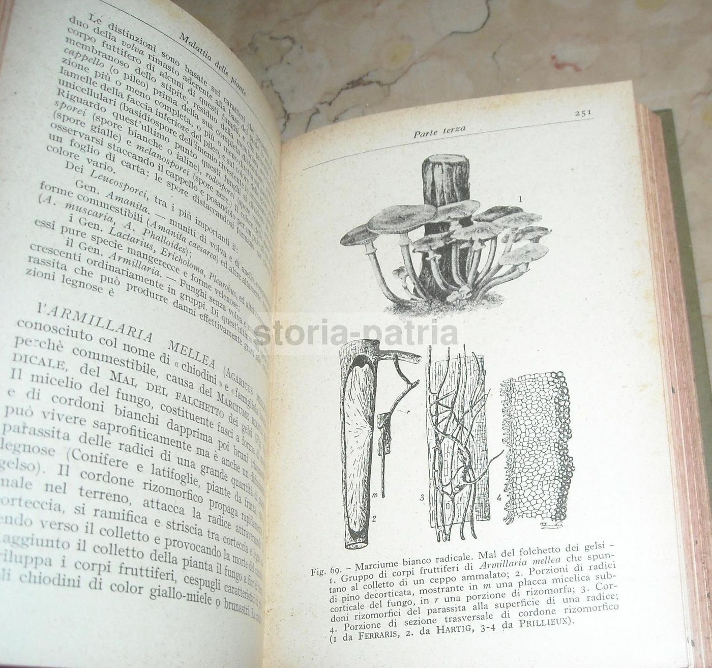 Malattie Delle Piante, A. Beraldi, Hoepli, 1929