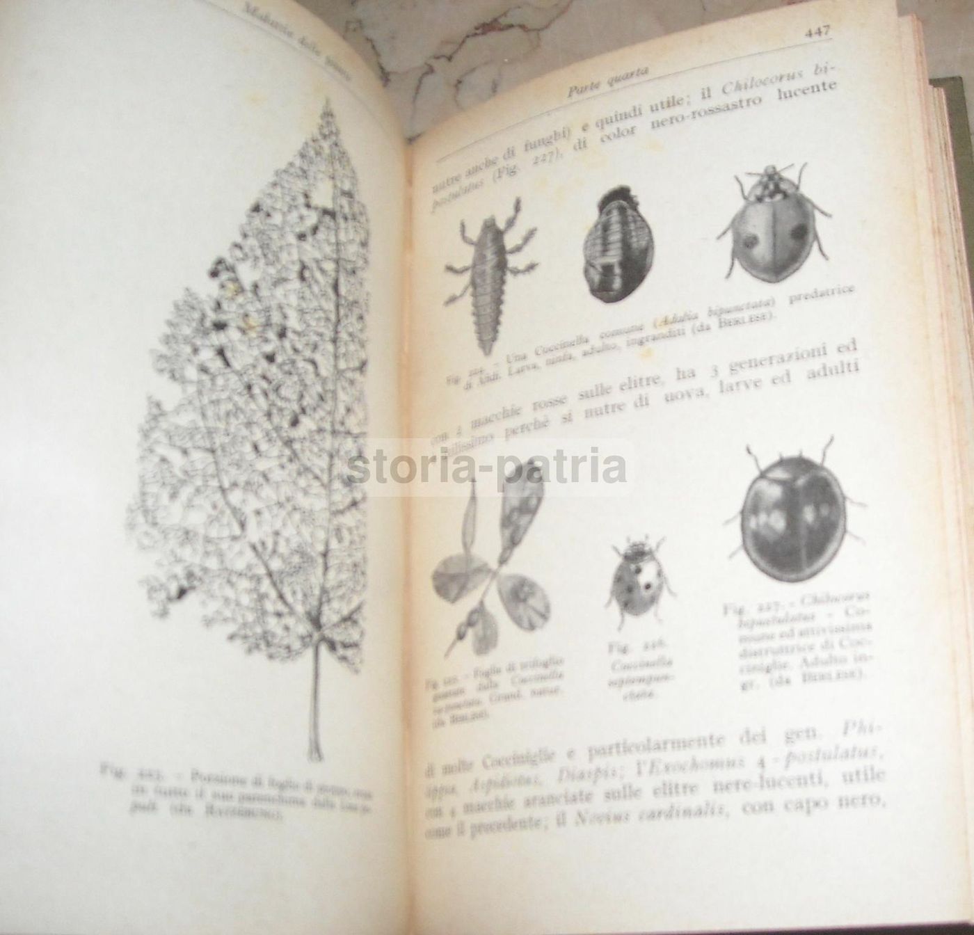 Malattie Delle Piante, A. Beraldi, Hoepli, 1929