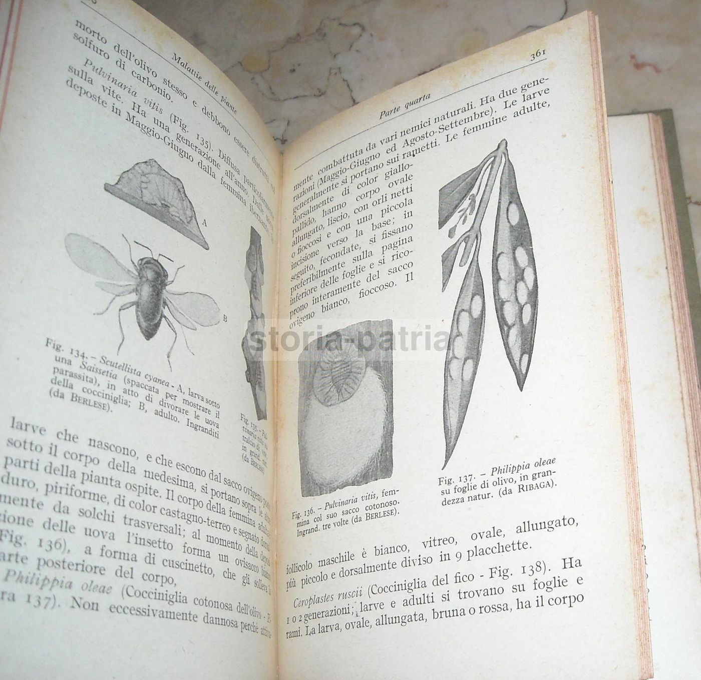 Malattie Delle Piante, A. Beraldi, Hoepli, 1929