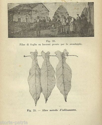 Il Tabacco Di D. Vigiani