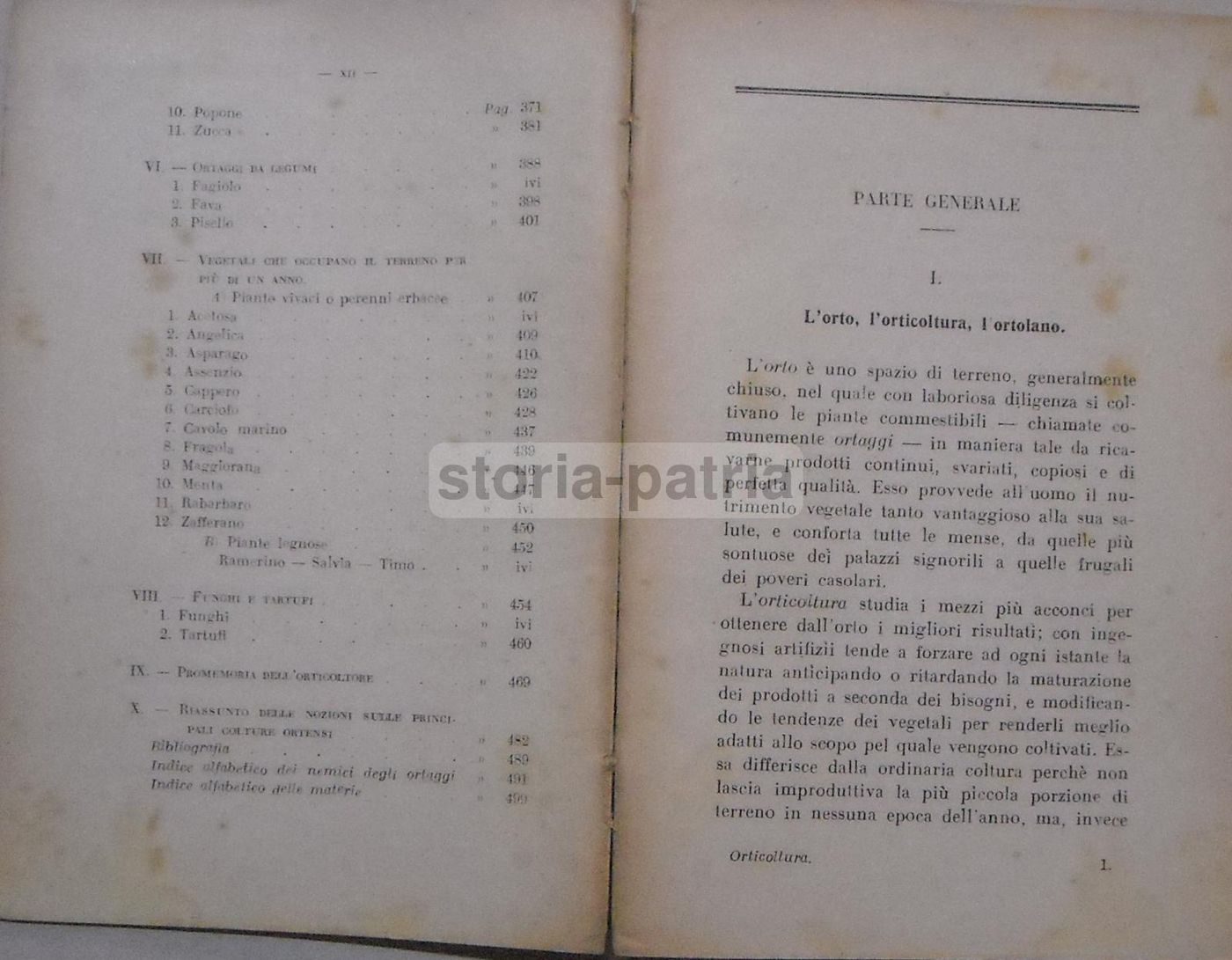 Orticoltura Di Luigi Trentin: Manuale Coltivazione Ortaggi (1944)