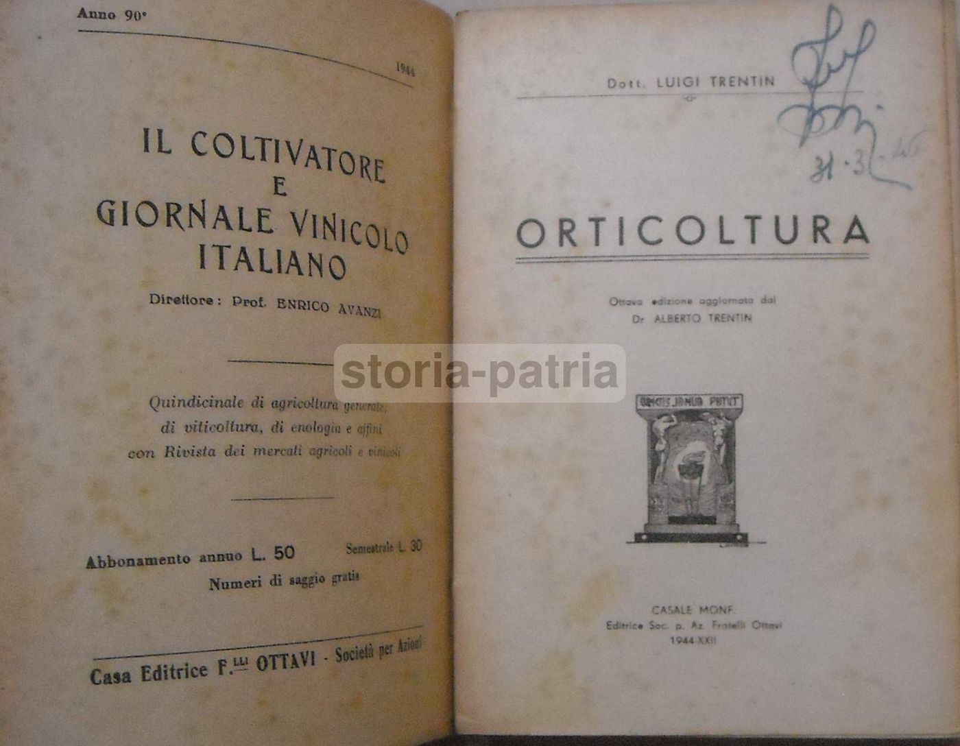 Orticoltura Di Luigi Trentin: Manuale Coltivazione Ortaggi (1944)