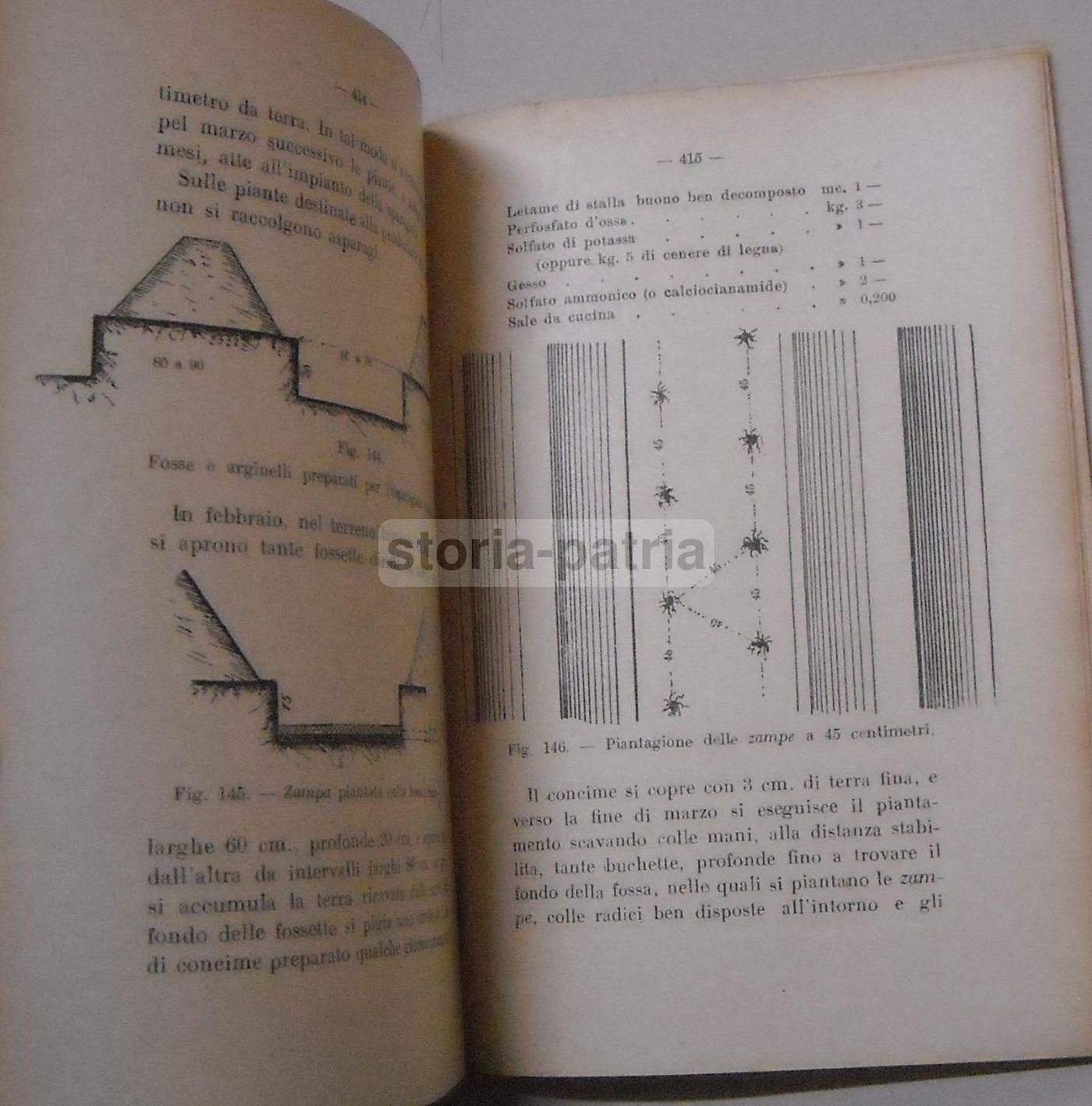 Orticoltura Di Luigi Trentin: Manuale Coltivazione Ortaggi (1944)