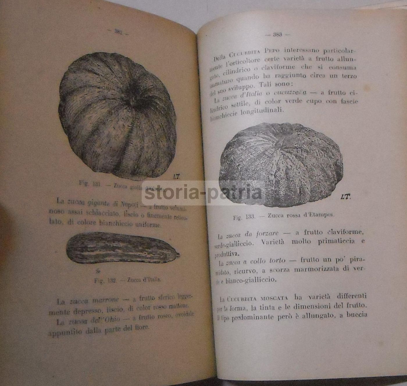 Orticoltura Di Luigi Trentin: Manuale Coltivazione Ortaggi (1944)