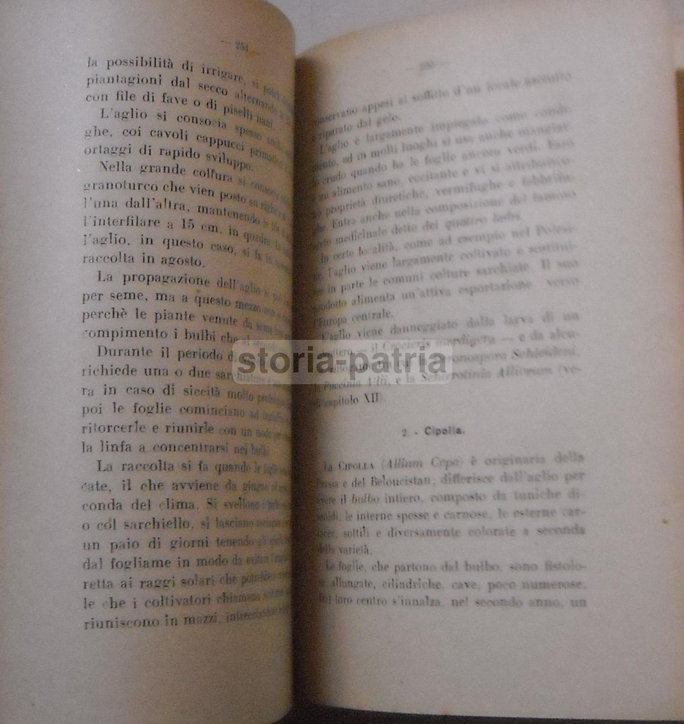 Orticoltura Di Luigi Trentin: Manuale Coltivazione Ortaggi (1944)