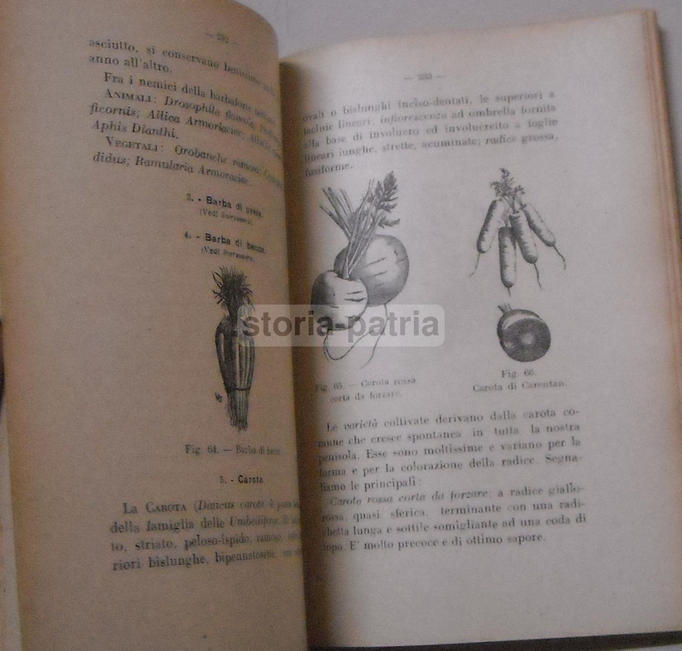 Orticoltura Di Luigi Trentin: Manuale Coltivazione Ortaggi (1944)