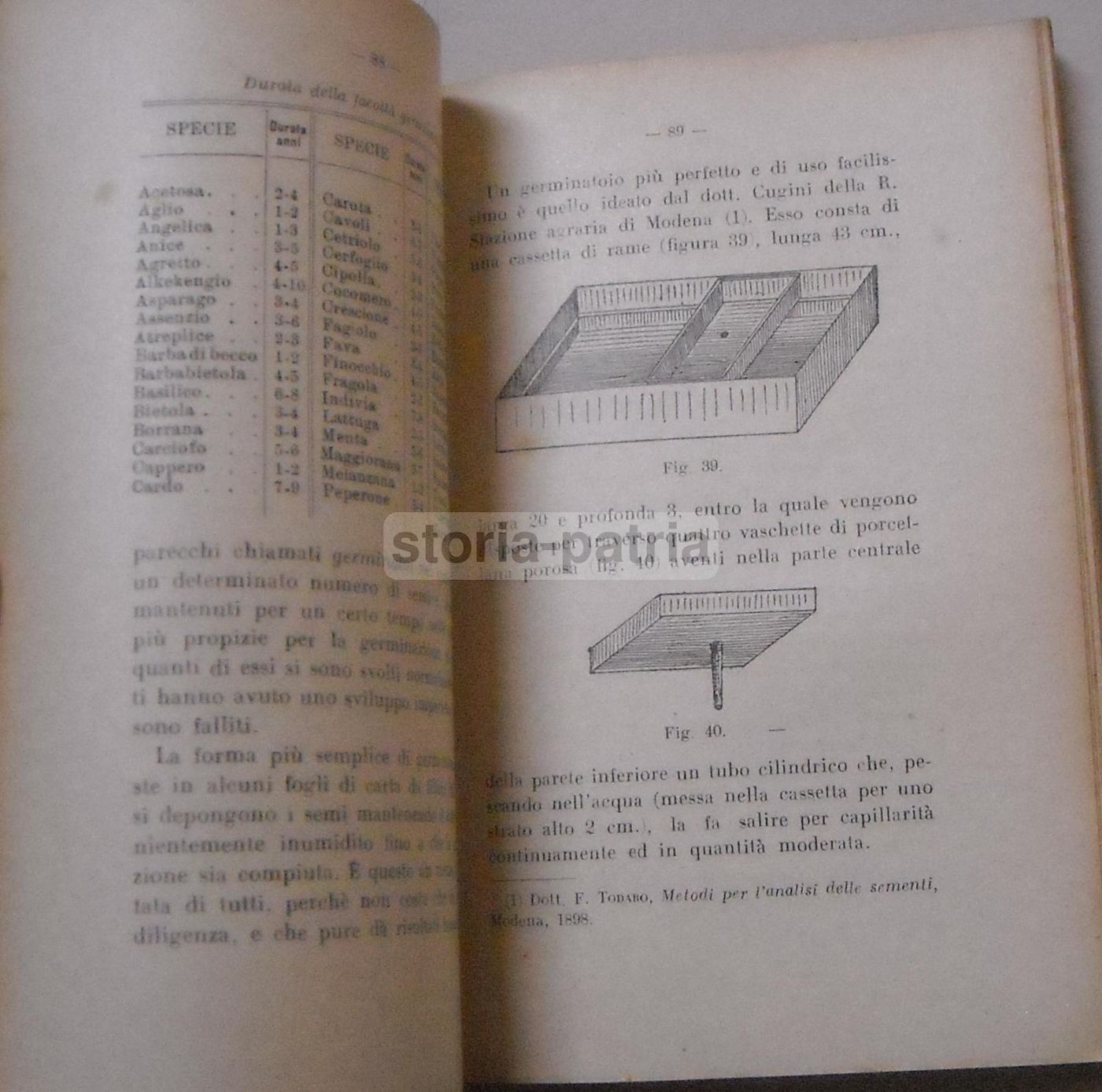 Orticoltura Di Luigi Trentin: Manuale Coltivazione Ortaggi (1944)
