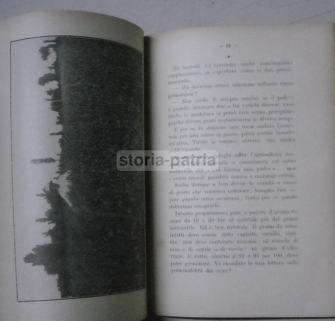 Lettere Ai Contadini Di Tito Poggi (1930) – Coltivazione E Cereali