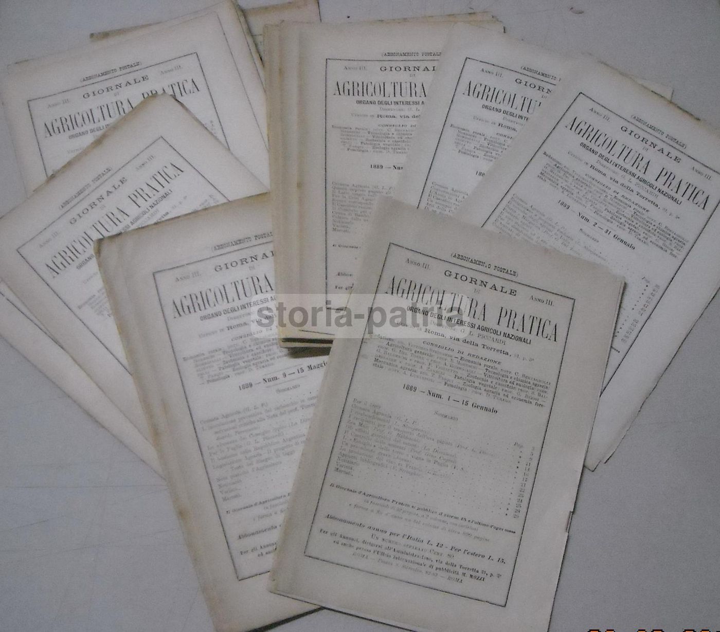 Giornale Di Agricoltura Pratica (Roma, 1889)   Enologia, Zootecnia E Agraria