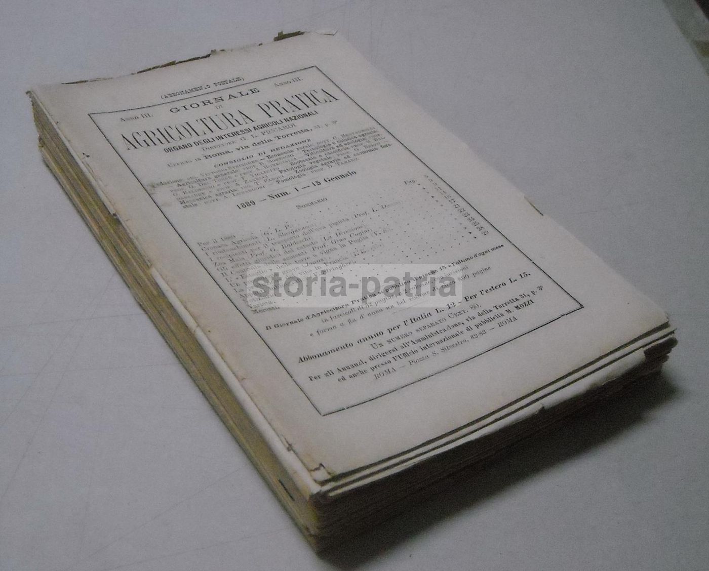 Giornale Di Agricoltura Pratica (Roma, 1889)   Enologia, Zootecnia E Agraria