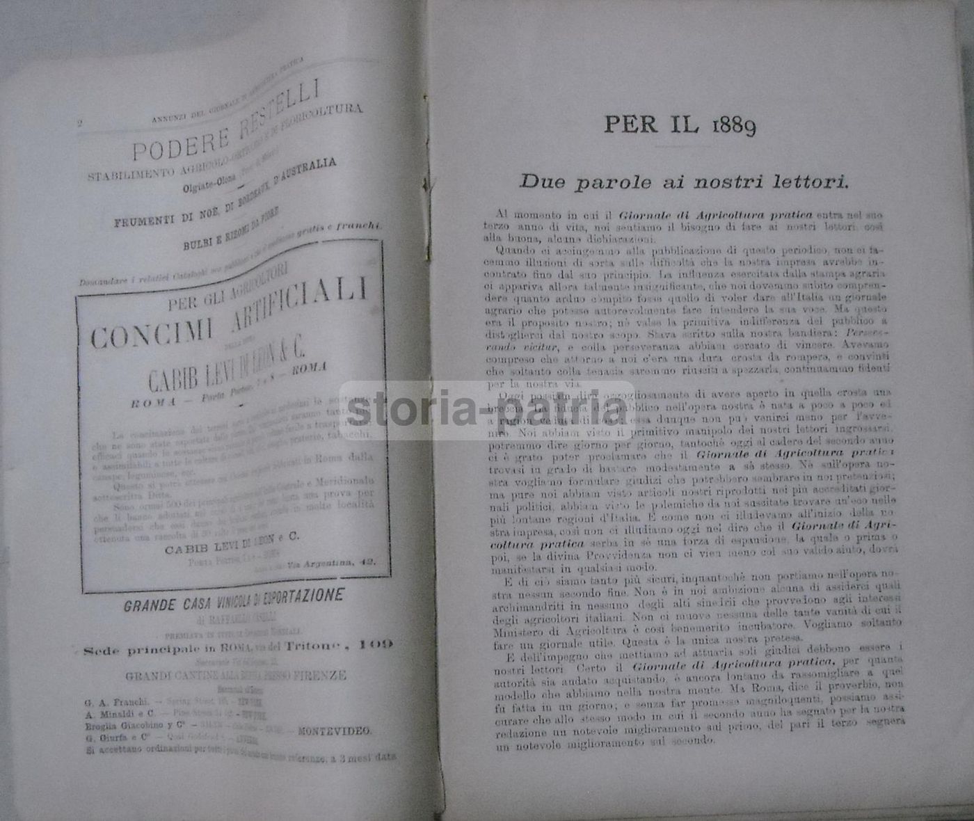 Giornale Di Agricoltura Pratica (Roma, 1889)   Enologia, Zootecnia E Agraria