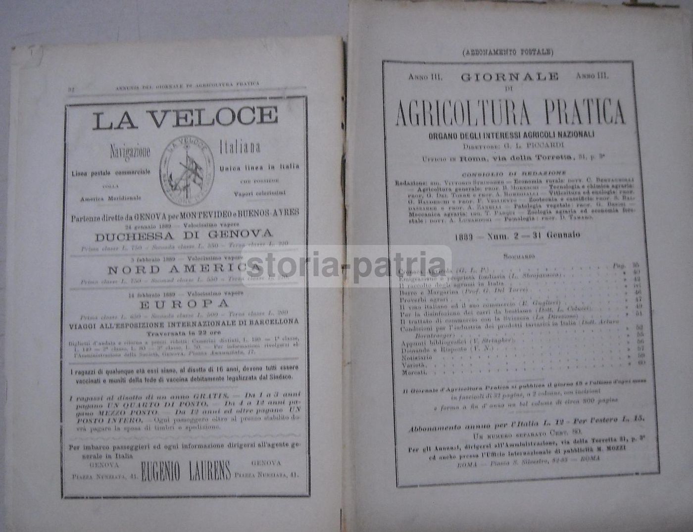 Giornale Di Agricoltura Pratica (Roma, 1889)   Enologia, Zootecnia E Agraria
