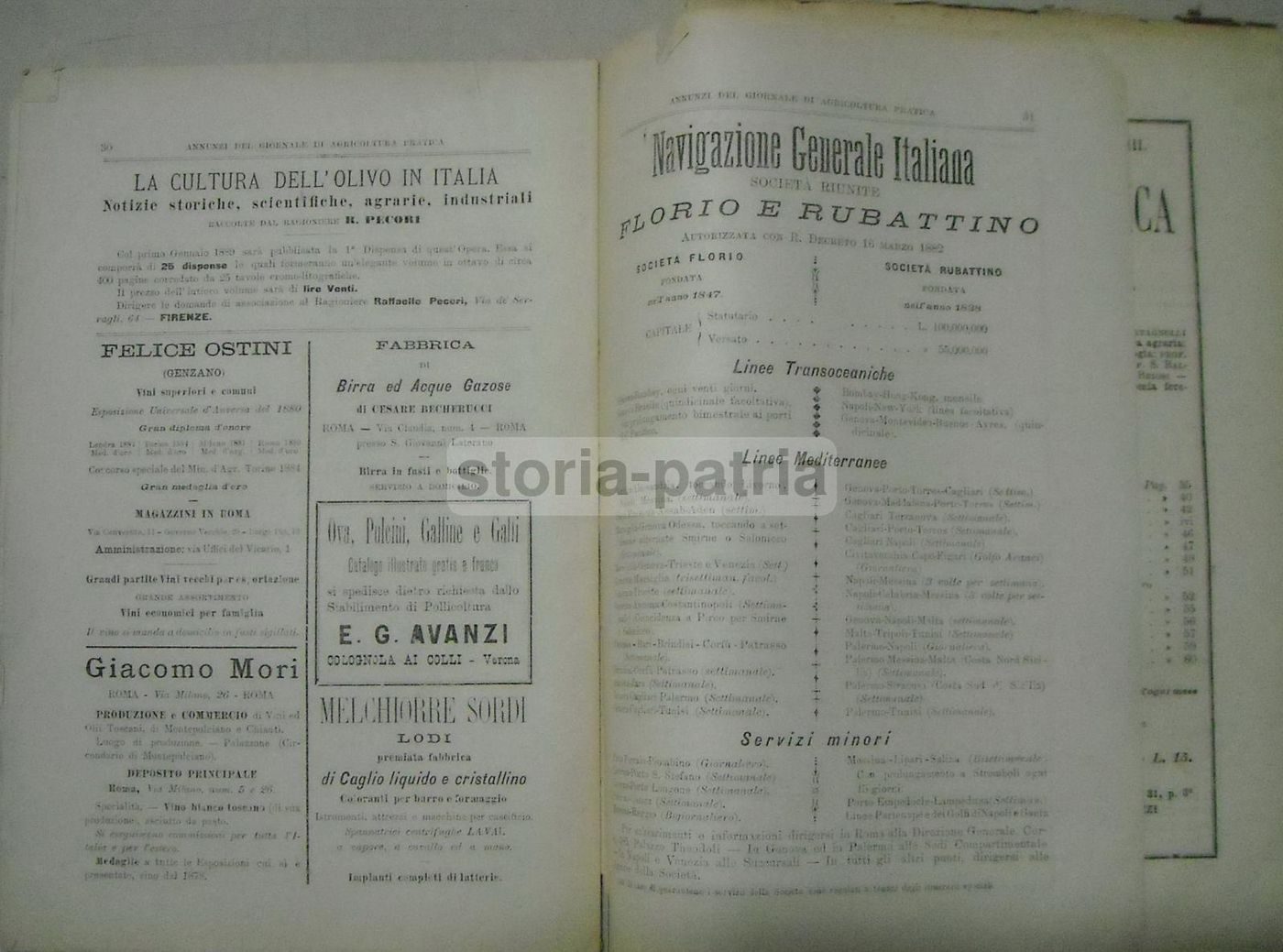 Giornale Di Agricoltura Pratica (Roma, 1889)   Enologia, Zootecnia E Agraria
