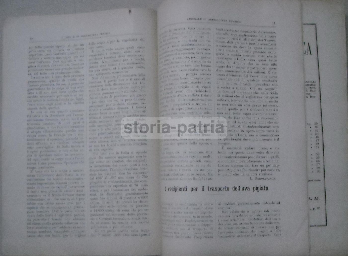 Giornale Di Agricoltura Pratica (Roma, 1889)   Enologia, Zootecnia E Agraria