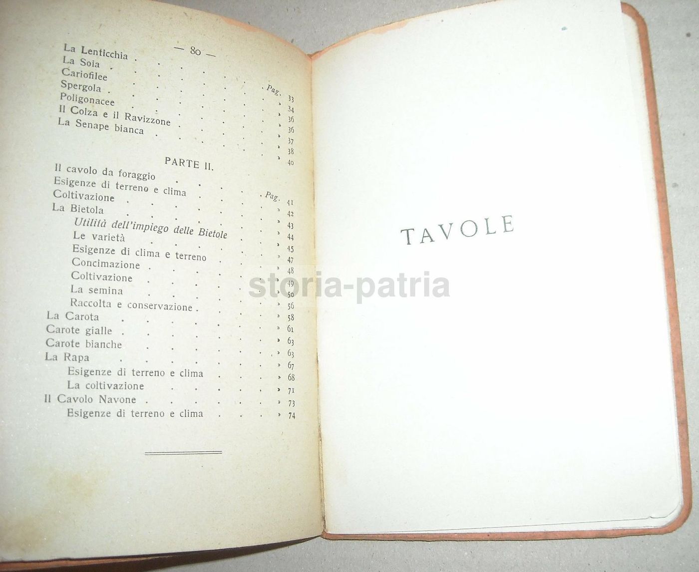 Piante Foraggere Da Erbaio E Da Tubero   Edoardo Bassi   Paravia, 1926