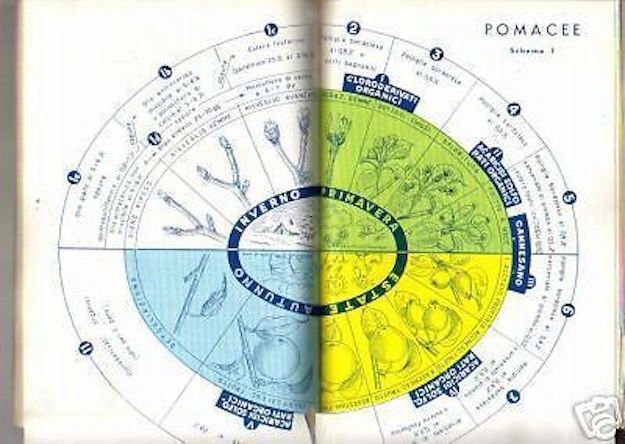 Calendario Trattamenti Piante Da Frutto, Goidanich E Foschi, 1956