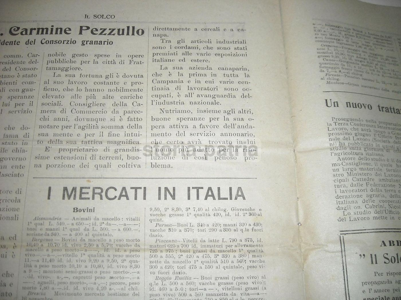 Il Solco 1921: Rivista Di Agricoltura Meridionale, Napoli E Puglia, Illustrata Da La Bella