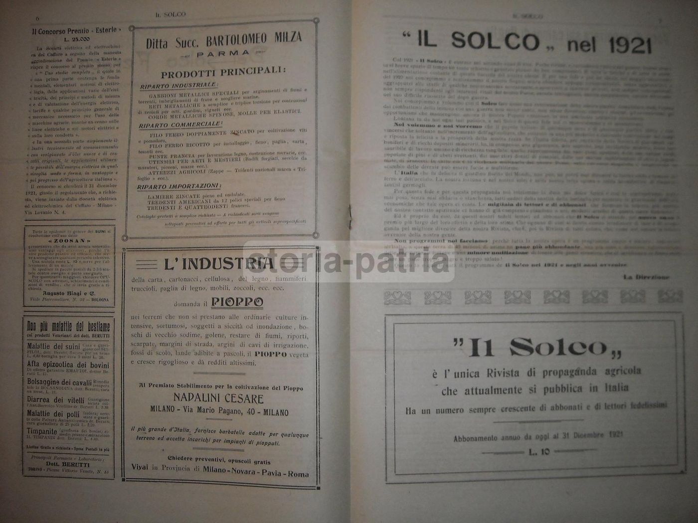 Il Solco 1921: Rivista Di Agricoltura Meridionale, Napoli E Puglia, Illustrata Da La Bella