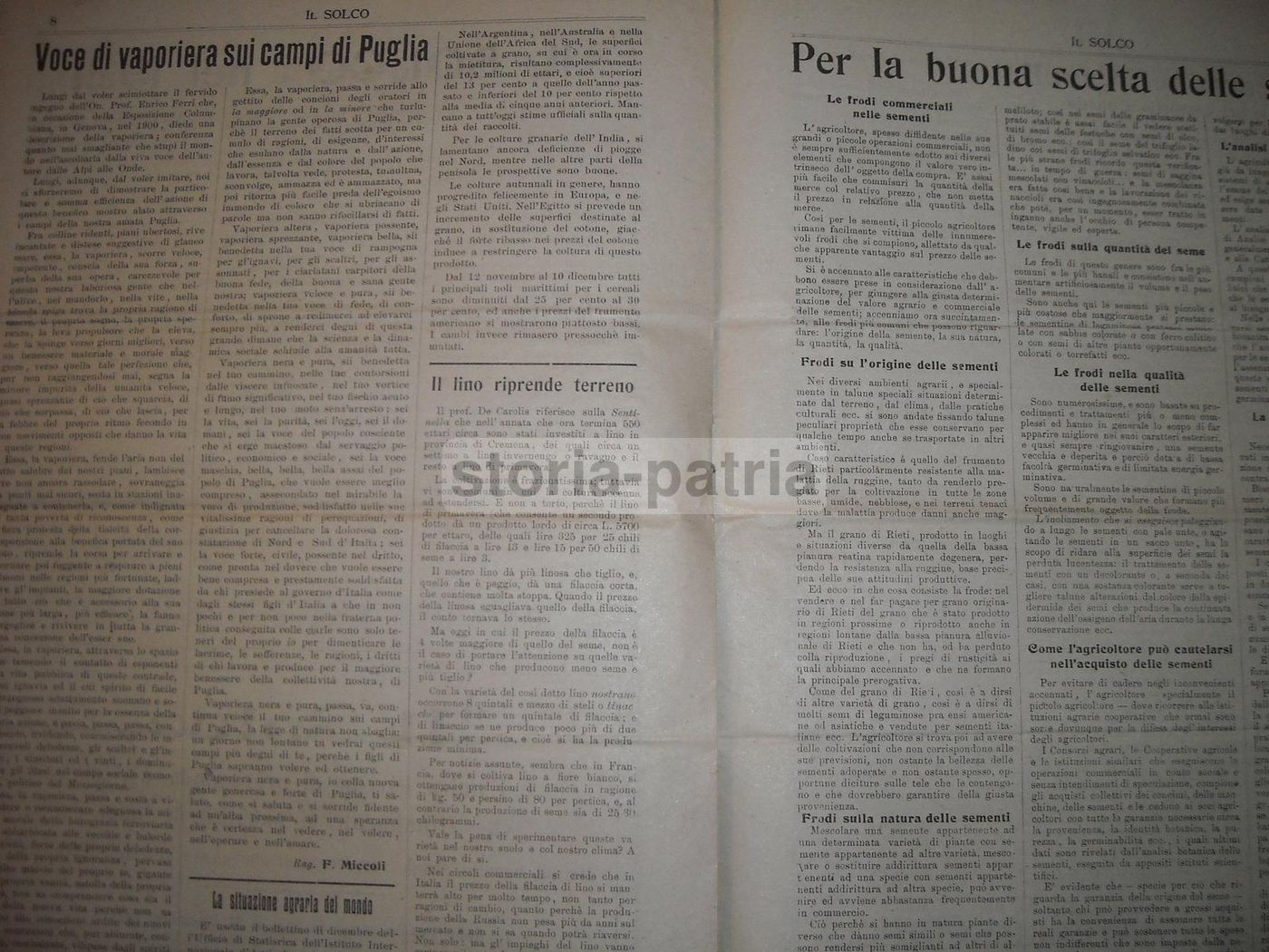 Il Solco 1921: Rivista Di Agricoltura Meridionale, Napoli E Puglia, Illustrata Da La Bella