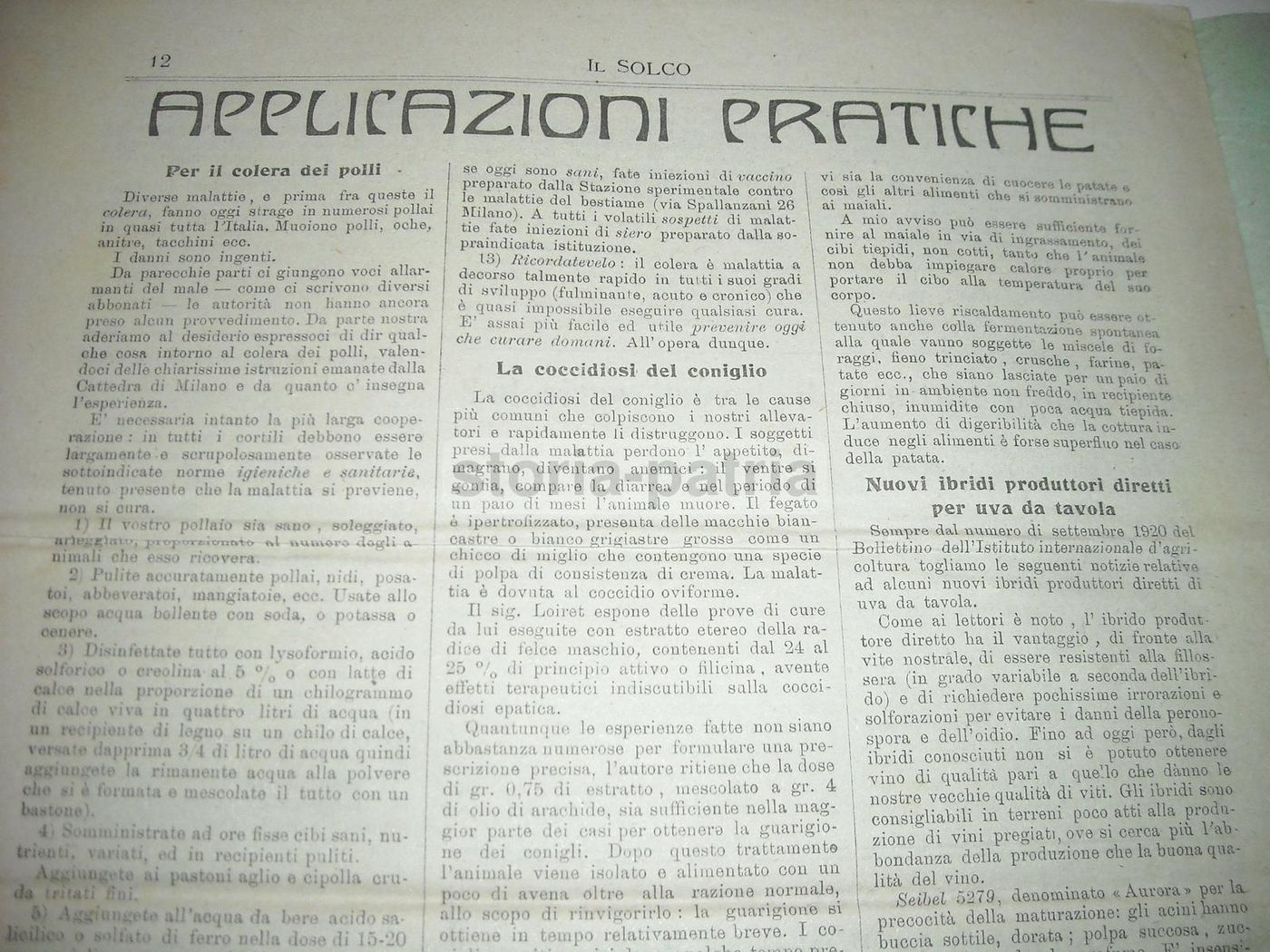 Il Solco 1921: Rivista Di Agricoltura Meridionale, Napoli E Puglia, Illustrata Da La Bella
