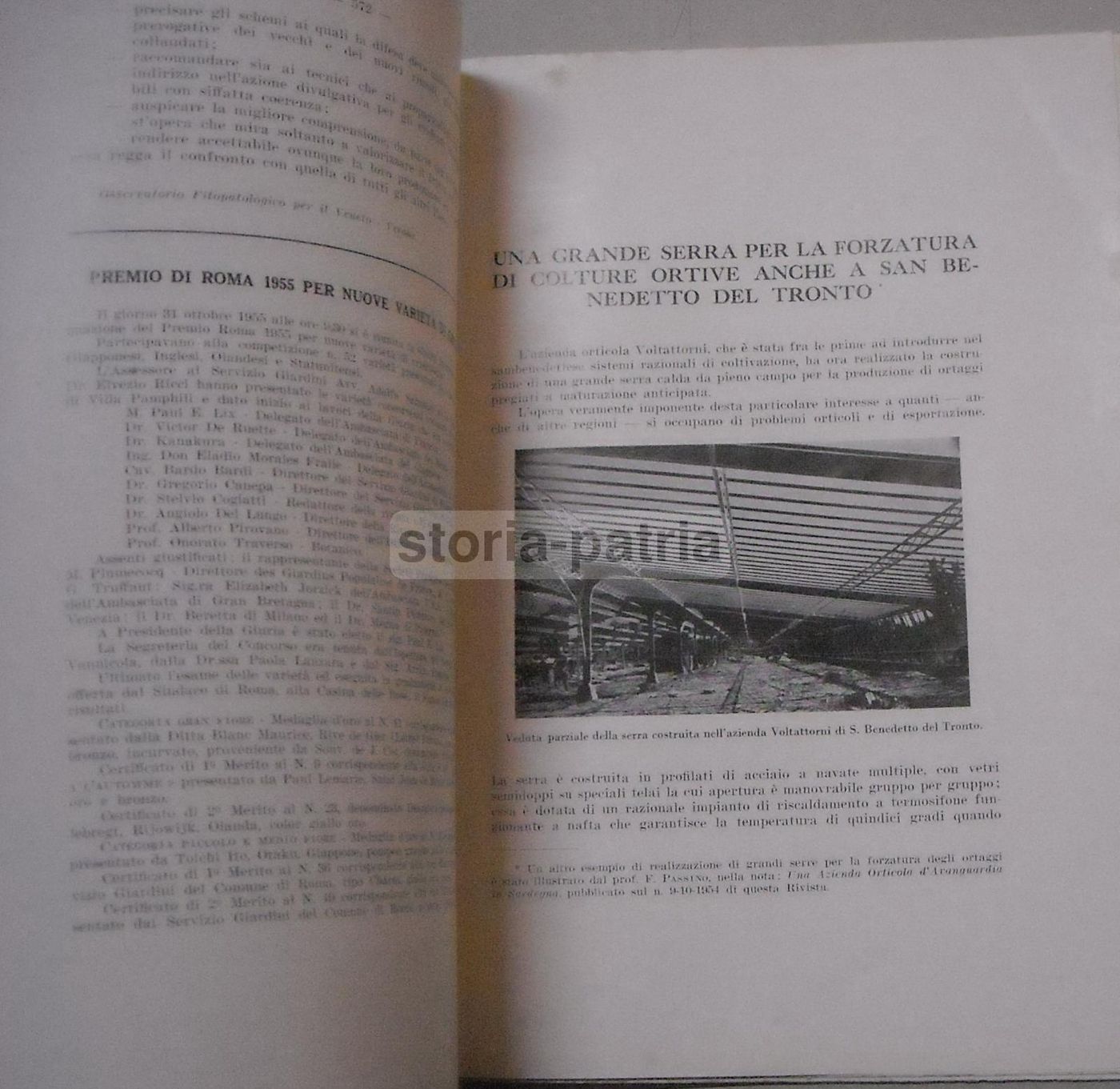 Rivista Della Ortoflorofrutticoltura Italiana 1955 (Firenze): Ananas, Piselli E Agricoltura