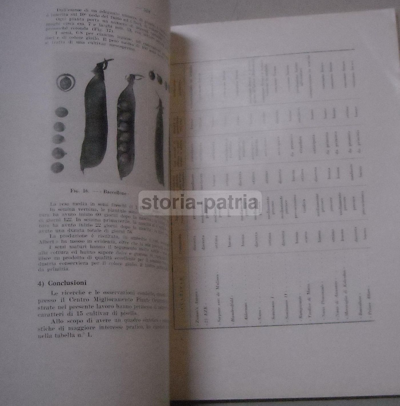 Rivista Della Ortoflorofrutticoltura Italiana 1955 (Firenze): Ananas, Piselli E Agricoltura