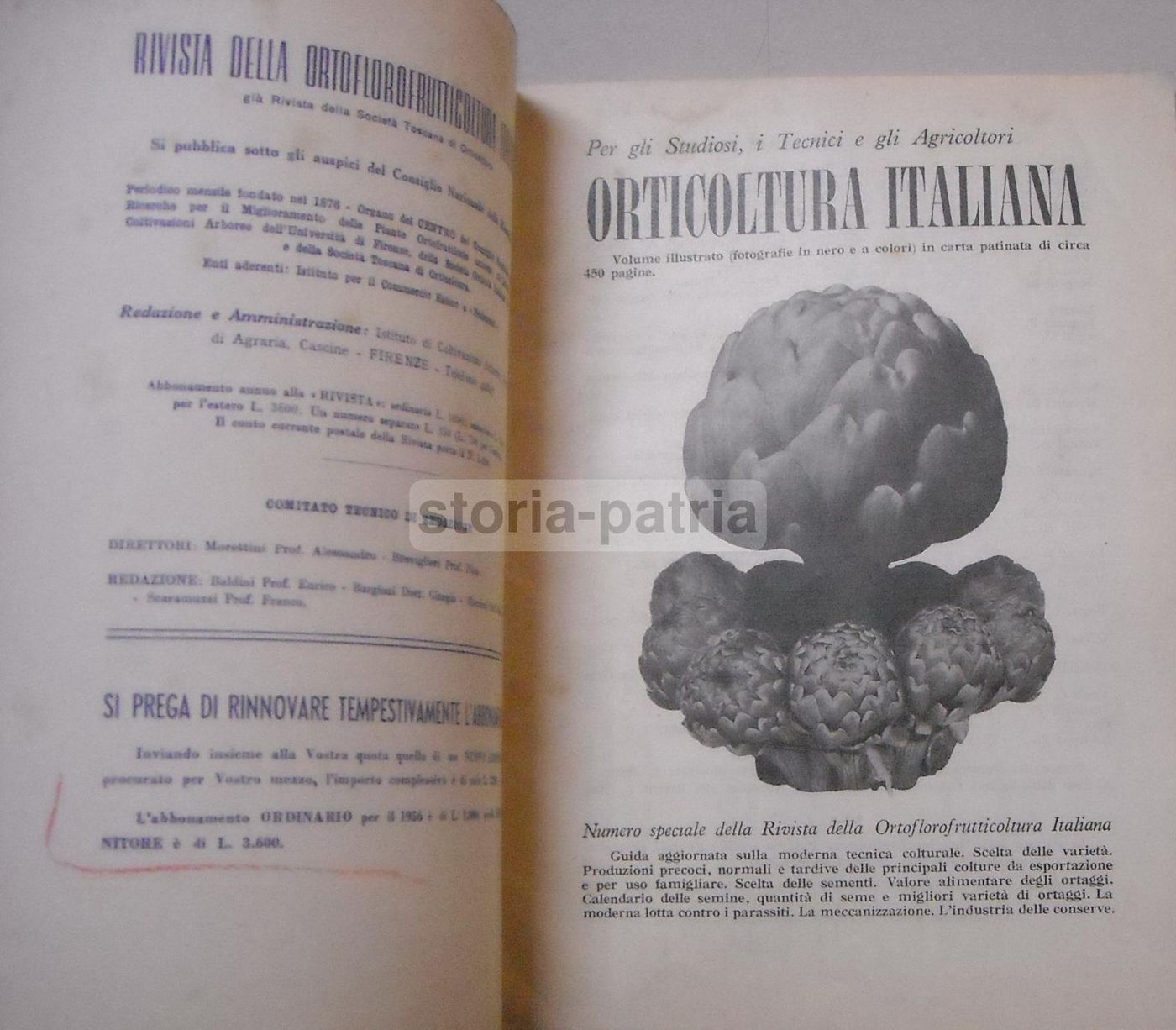Rivista Della Ortoflorofrutticoltura Italiana 1955 (Firenze): Ananas, Piselli E Agricoltura