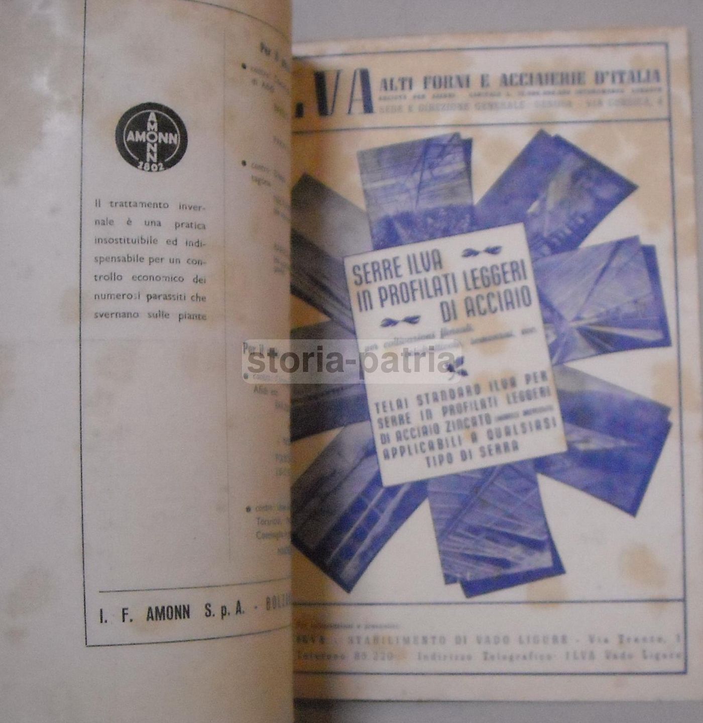Rivista Della Ortoflorofrutticoltura Italiana 1955 (Firenze): Ananas, Piselli E Agricoltura