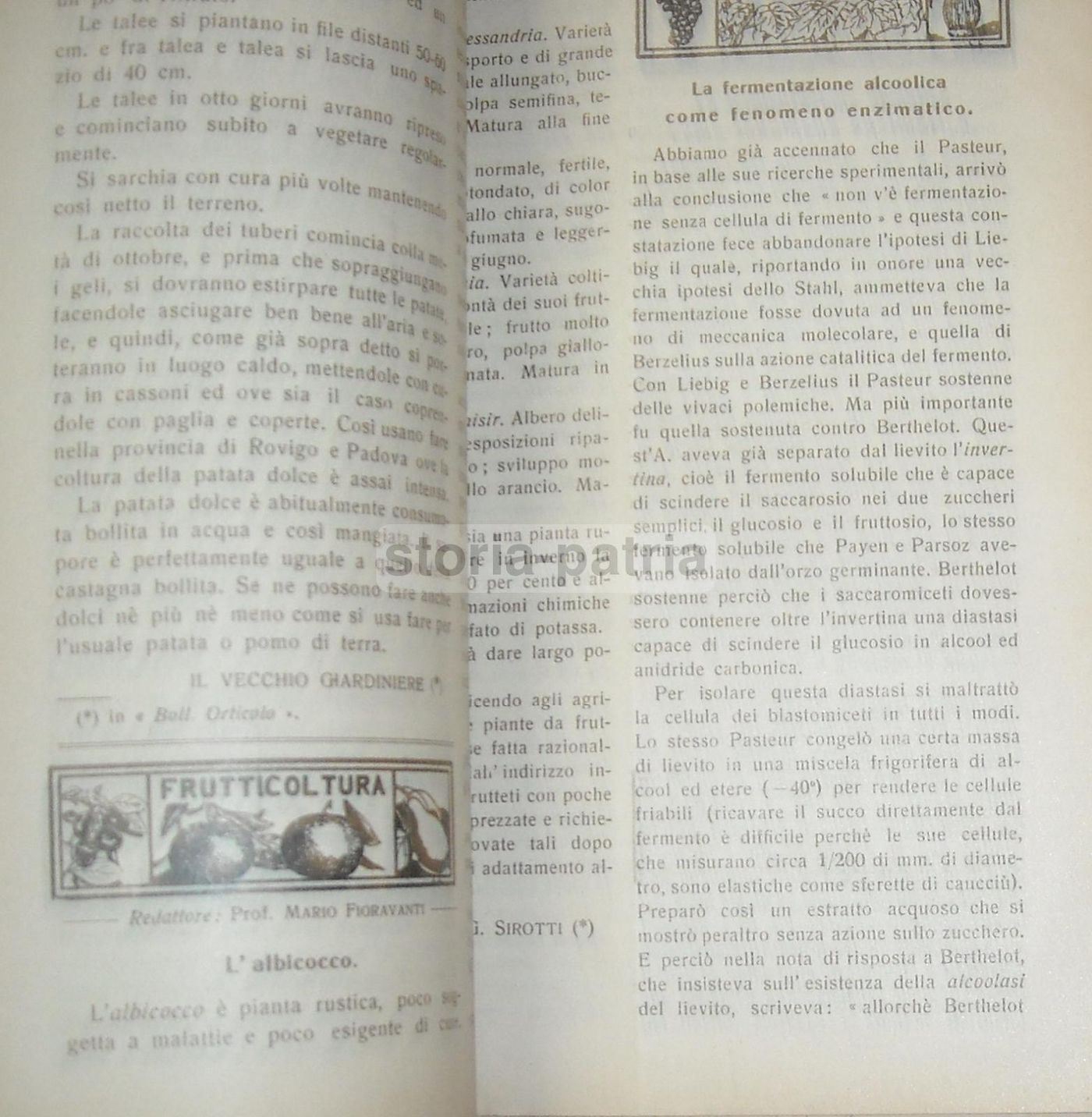 Minerva Dei Campi 1932   Rivista Di Agricoltura E Zootecnia In Sicilia