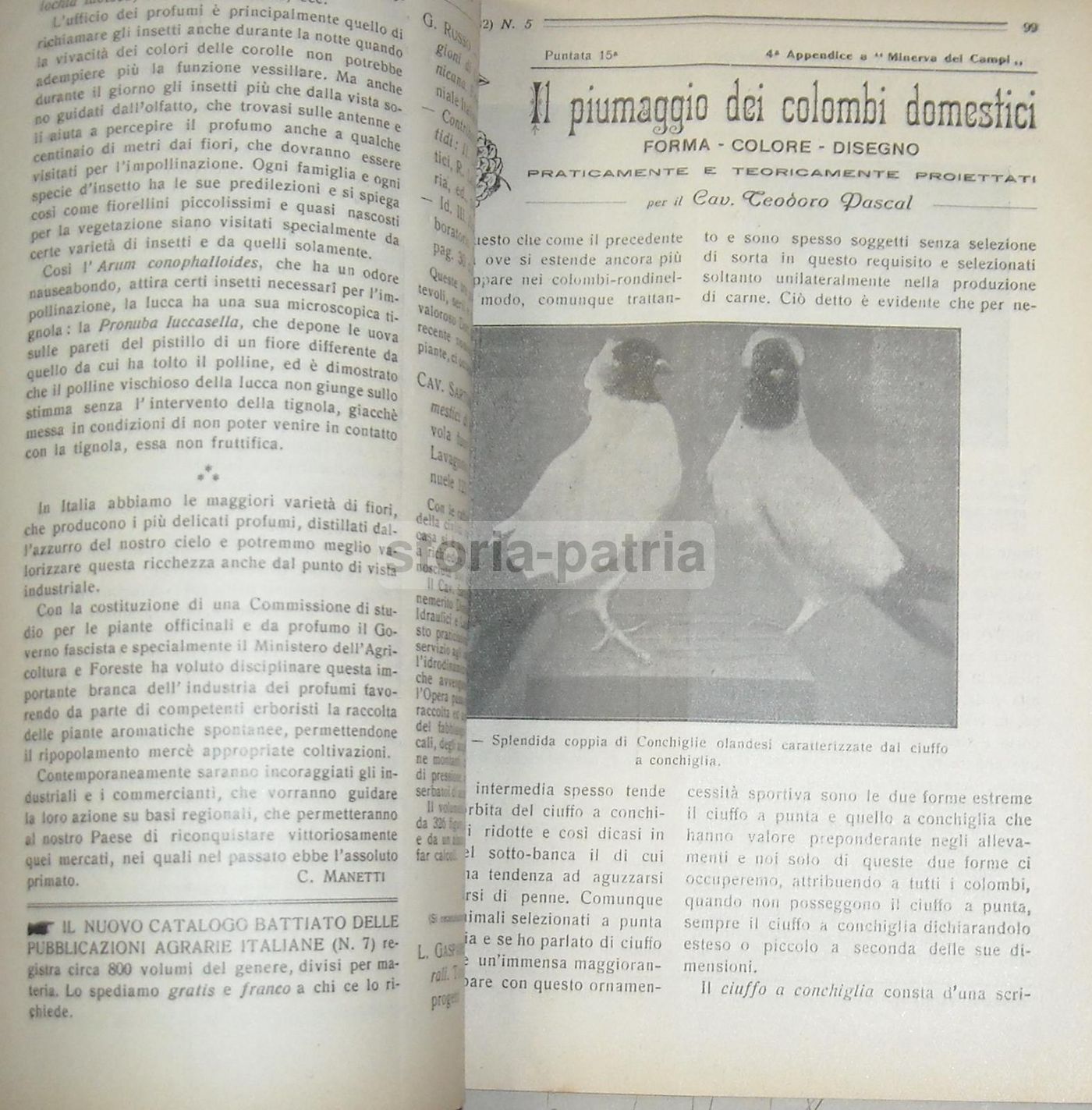Minerva Dei Campi 1932   Rivista Di Agricoltura E Zootecnia In Sicilia