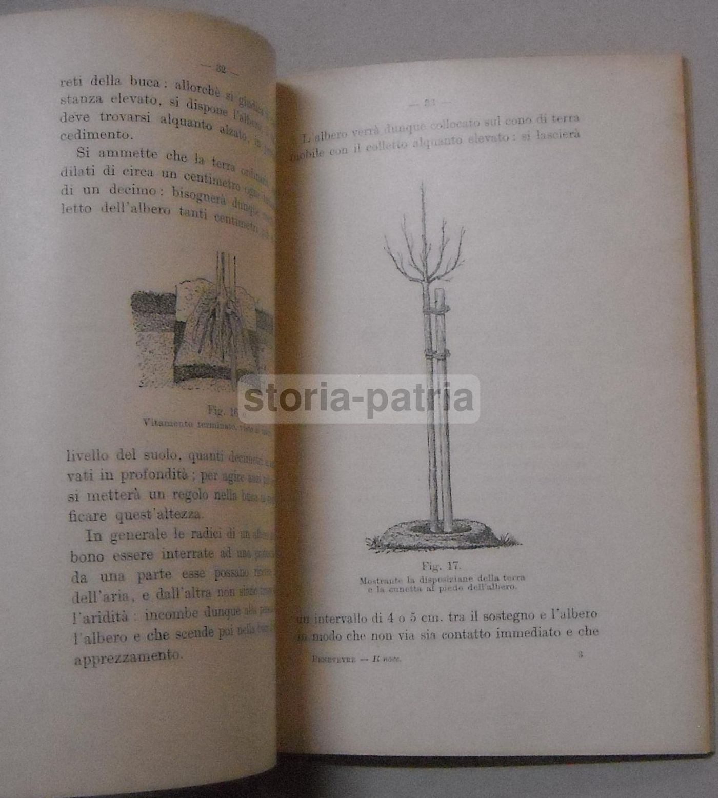 Il Noce Di Peneveyre 1912 Manuale Agricoltura Coltivazione Noce