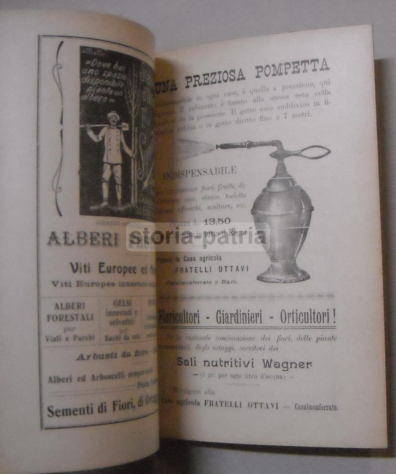 Il Noce Di Peneveyre 1912 Manuale Agricoltura Coltivazione Noce