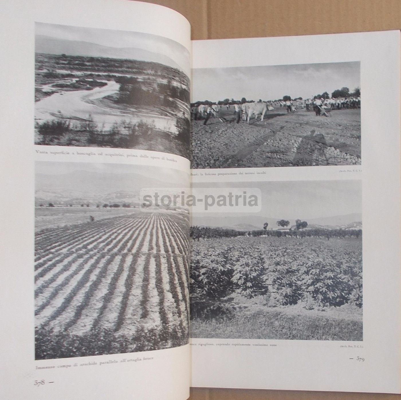 Il Volto Agricolo d'Italia. Marescalchi, TCI, 1936 1938 (2 Volumi)