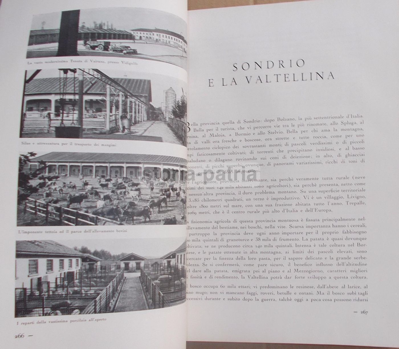 Il Volto Agricolo d'Italia. Marescalchi, TCI, 1936 1938 (2 Volumi)