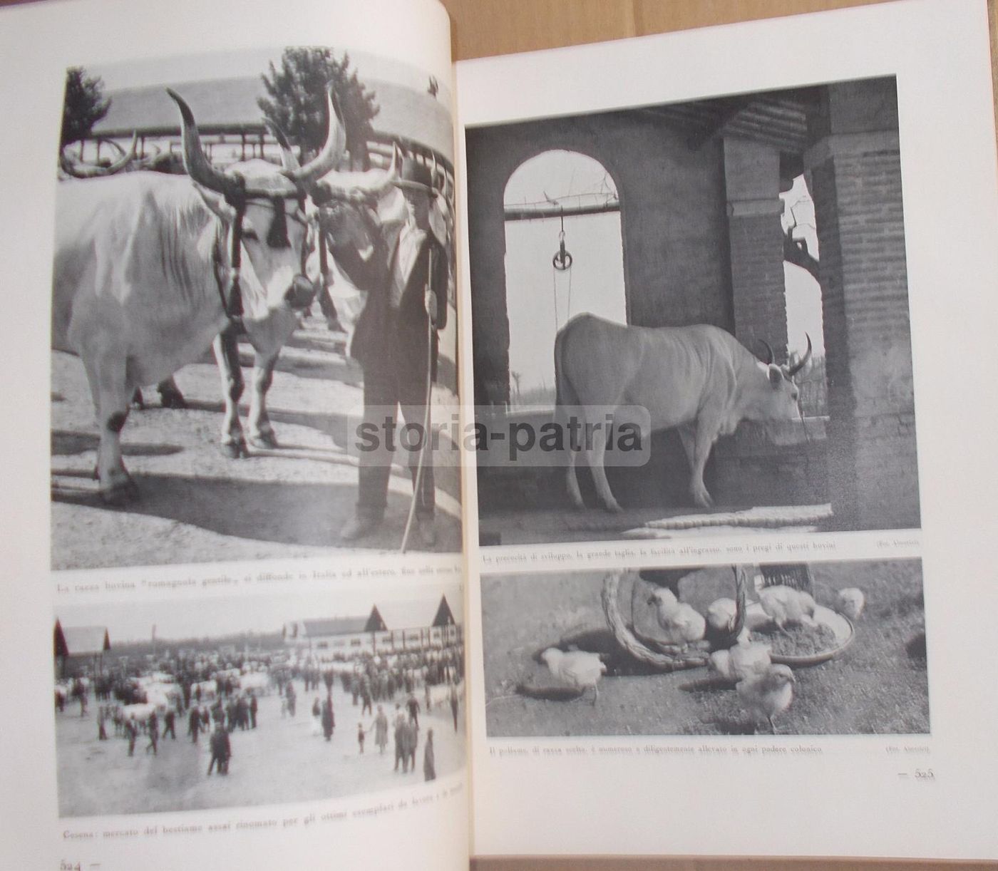 Il Volto Agricolo d'Italia. Marescalchi, TCI, 1936 1938 (2 Volumi)