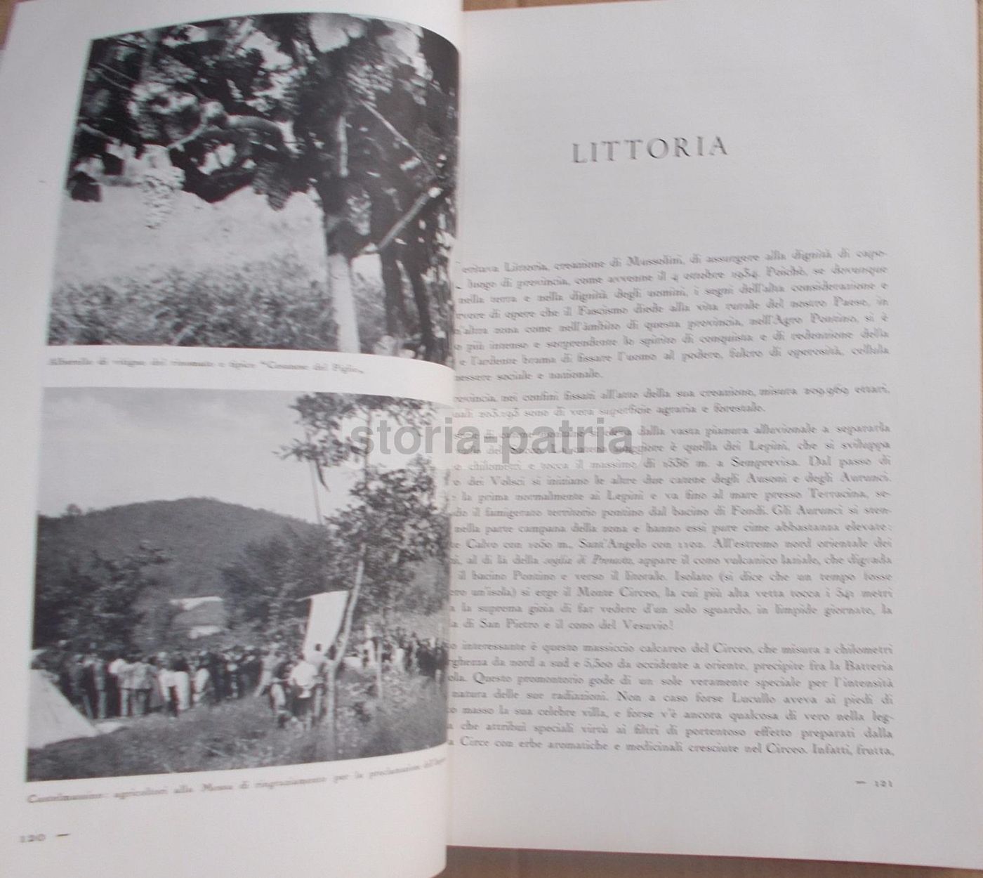 Il Volto Agricolo d'Italia. Marescalchi, TCI, 1936 1938 (2 Volumi)