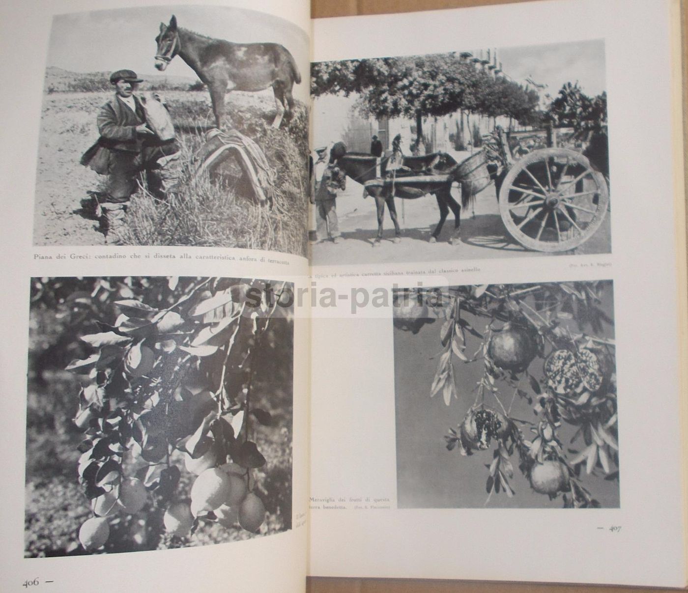 Il Volto Agricolo d'Italia. Marescalchi, TCI, 1936 1938 (2 Volumi)