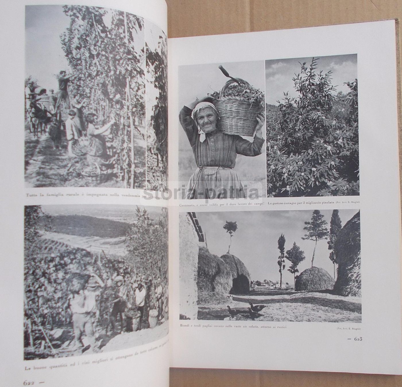Il Volto Agricolo d'Italia. Marescalchi, TCI, 1936 1938 (2 Volumi)