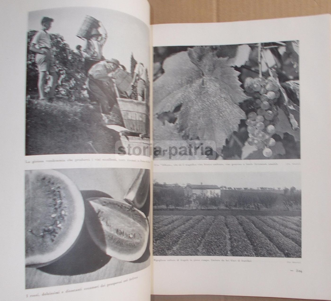 Il Volto Agricolo d'Italia. Marescalchi, TCI, 1936 1938 (2 Volumi)