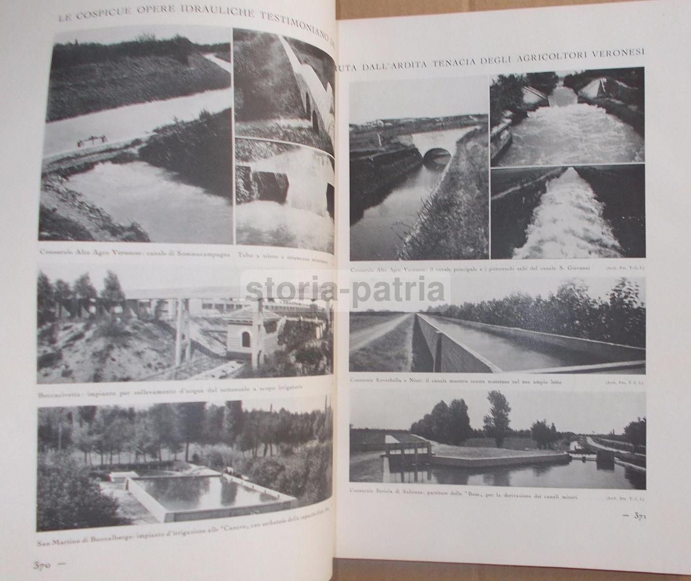Il Volto Agricolo d'Italia. Marescalchi, TCI, 1936 1938 (2 Volumi)