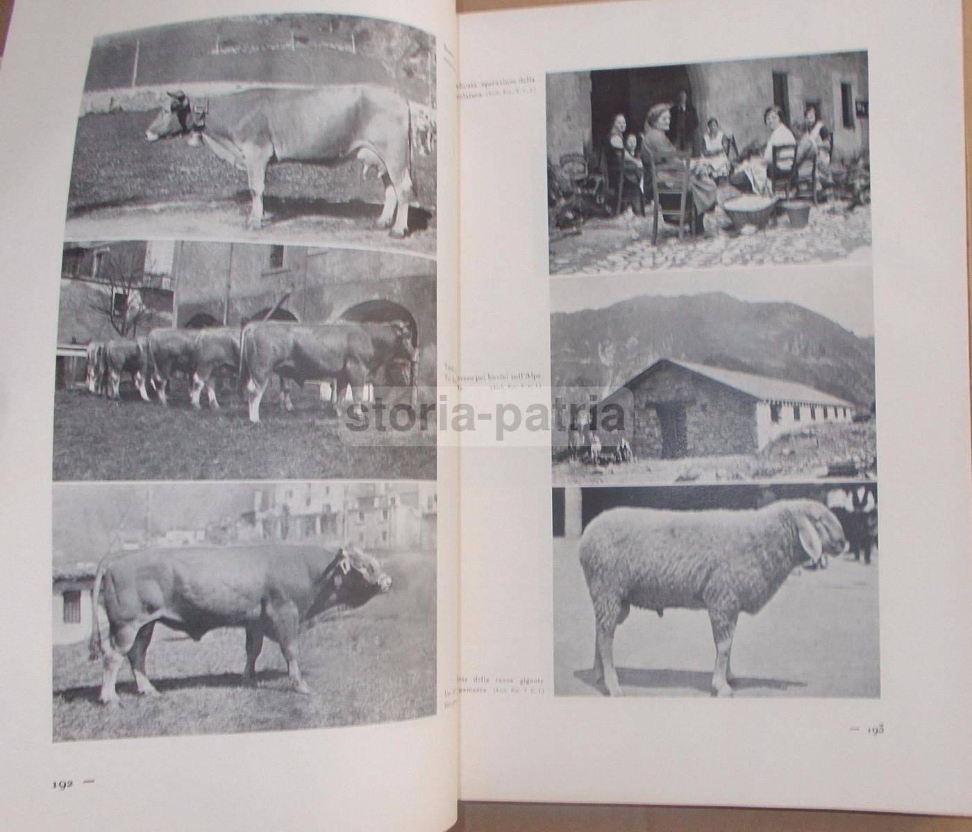 Il Volto Agricolo d'Italia. Marescalchi, TCI, 1936 1938 (2 Volumi)