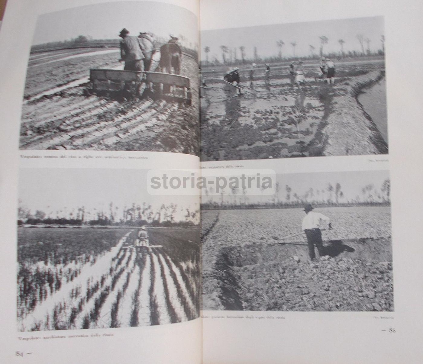 Il Volto Agricolo d'Italia. Marescalchi, TCI, 1936 1938 (2 Volumi)
