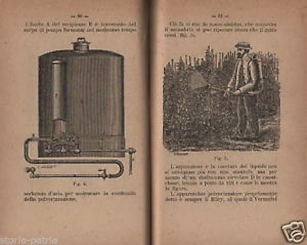 Almanacco L'Amico Del Contadino 1889   Enologia, Vino E Fillossera