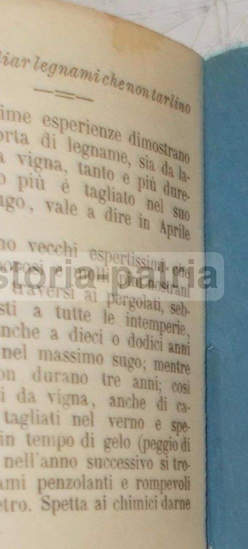Almanacco Universale Del Gran Pescatore Di Chiaravalle 1897, Genova