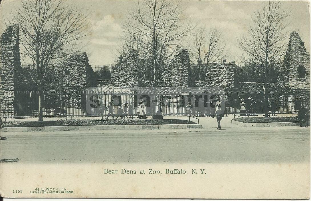 Cartolina Antica Zoo Buffalo NY, Gabbia Degli Orsi, Anni '20