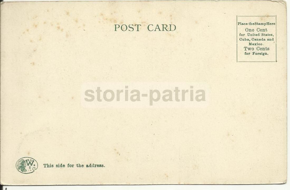 Cartolina Antica Zoo Buffalo NY, Gabbia Degli Orsi, Anni '20