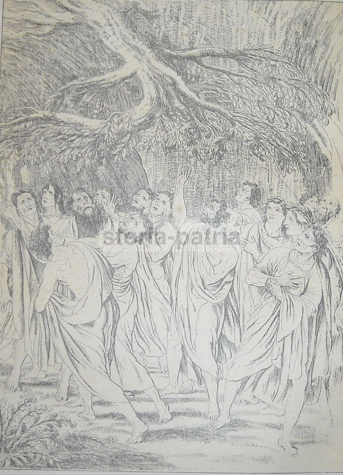 Illustrazione Antica Purgatorio Dante Divina Commedia Anni '20