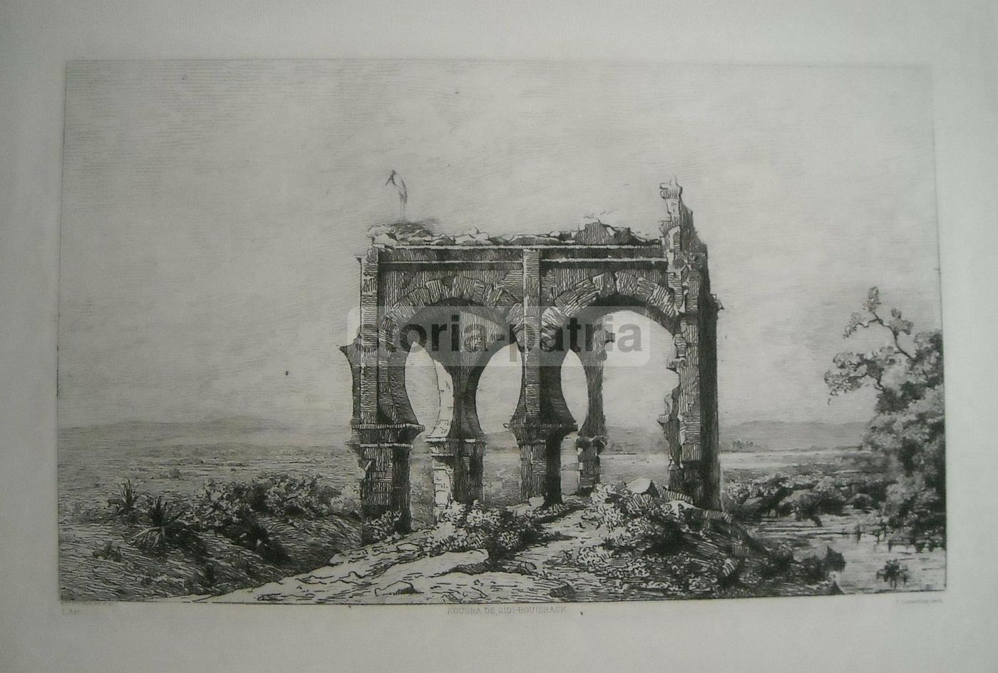 Incisione Antica Koubba De Sidi Bouisrack, Niel, Lienard, Fine XIX Secolo