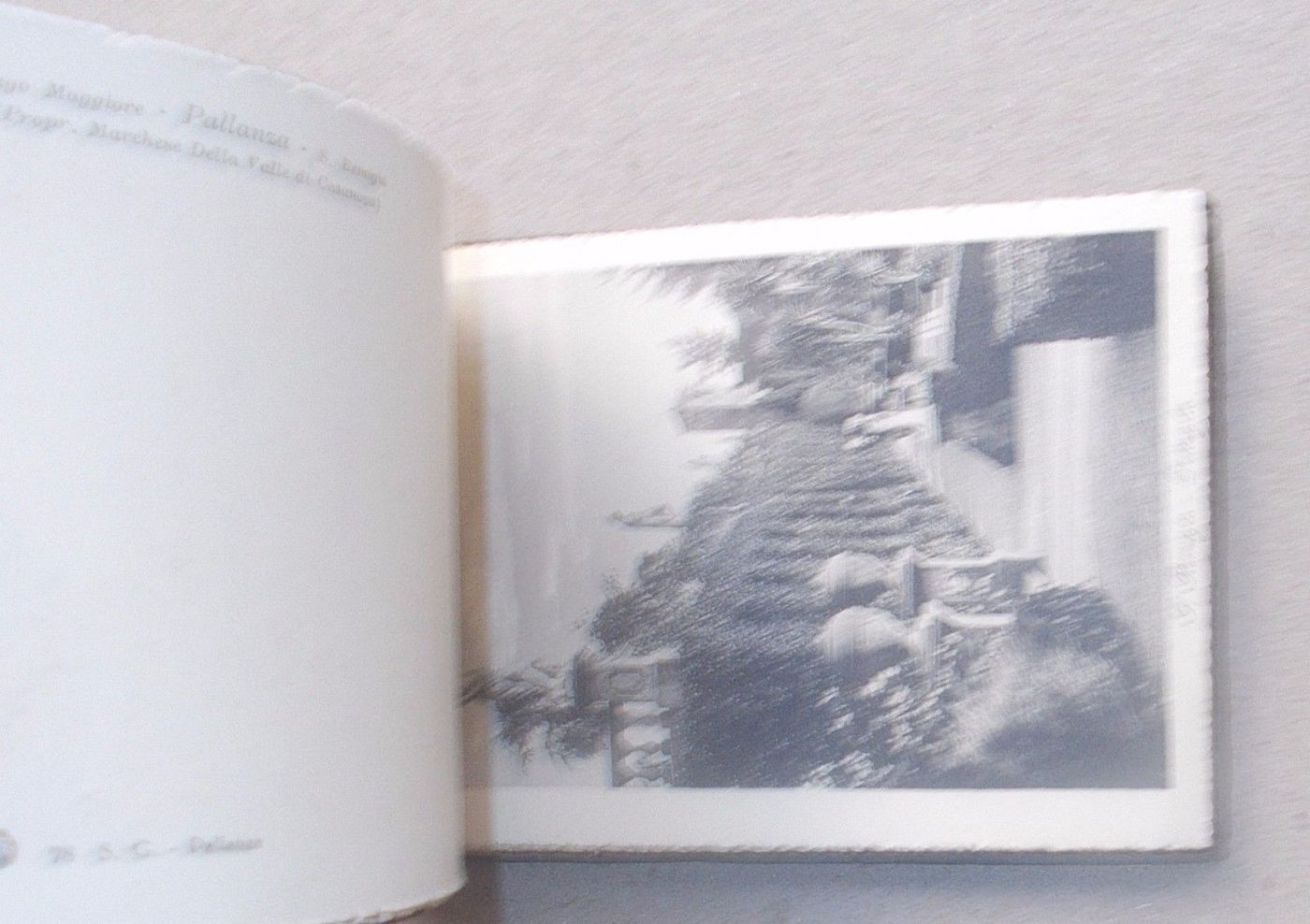 Album Cartoline Antiche Di Pallanza, Lago Maggiore, Con Stemma Araldico, Circa 1920