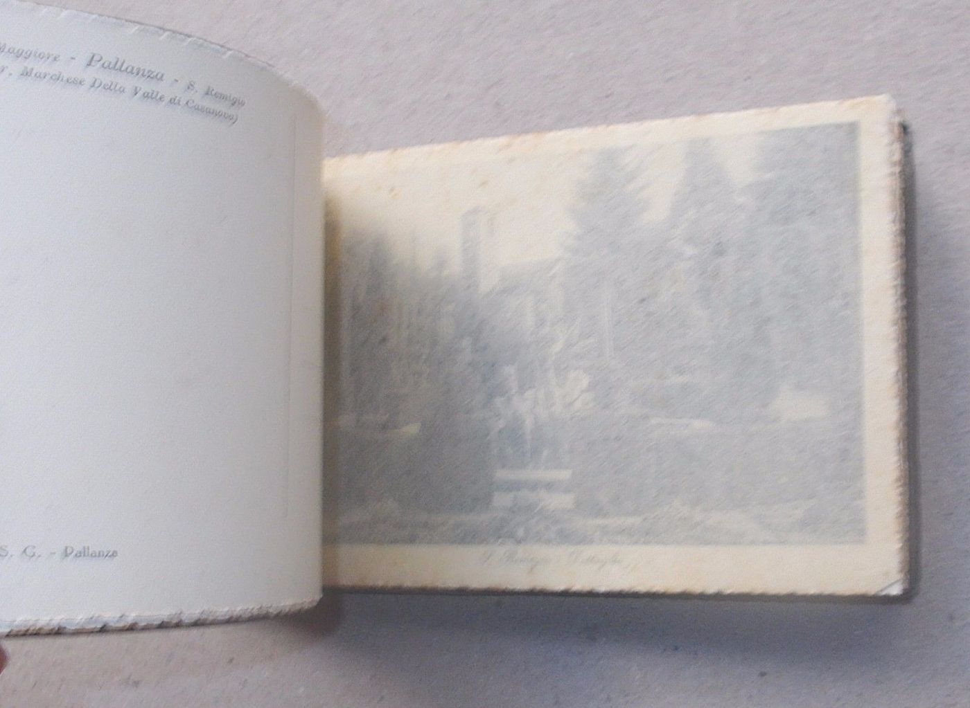 Album Cartoline Antiche Di Pallanza, Lago Maggiore, Con Stemma Araldico, Circa 1920